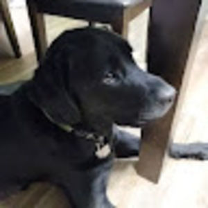 Meet your Posher, Jason